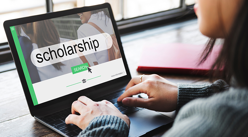 Fellowships and Scholarships Provided by Organizations